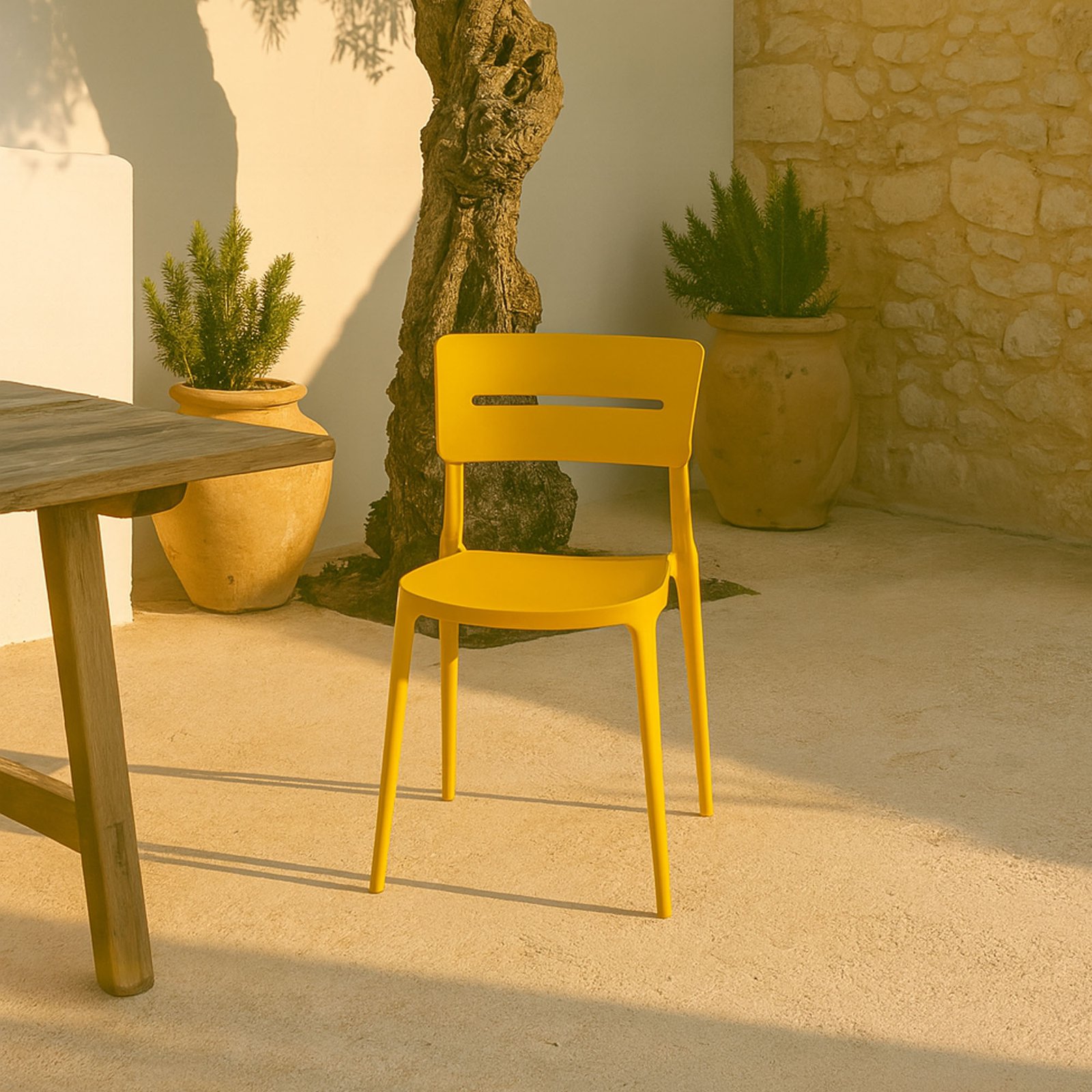 SET 4 SEDIA BELLA IN POLIPROPILENE SENAPE